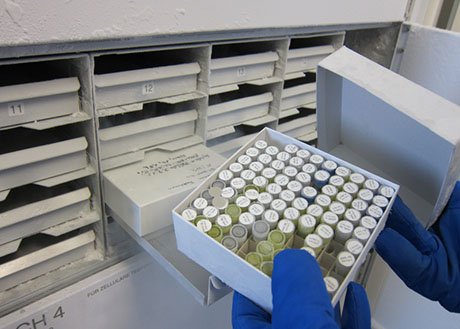 Biobank.jpg
