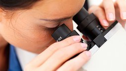 Forscherin Mikroskop 2.jpg