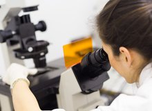 Junge Forscherin Labor.jpg